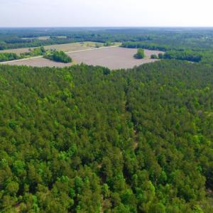 Photo of REDUCED!  443.3 Acres of Farm and Timber Land For Sale In Pamlico County NC!