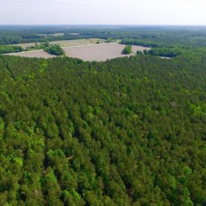 Photo of REDUCED!  443.3 Acres of Farm and Timber Land For Sale In Pamlico County NC!