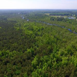 Photo of REDUCED!  443.3 Acres of Farm and Timber Land For Sale In Pamlico County NC!