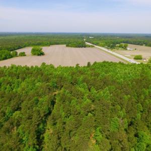 Photo of REDUCED!  443.3 Acres of Farm and Timber Land For Sale In Pamlico County NC!