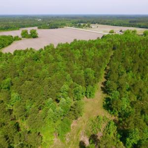 Photo of REDUCED!  443.3 Acres of Farm and Timber Land For Sale In Pamlico County NC!