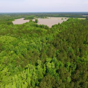 Photo of REDUCED!  443.3 Acres of Farm and Timber Land For Sale In Pamlico County NC!