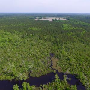 Photo of REDUCED!  443.3 Acres of Farm and Timber Land For Sale In Pamlico County NC!