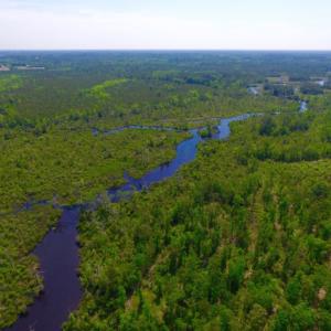 Photo of REDUCED!  443.3 Acres of Farm and Timber Land For Sale In Pamlico County NC!