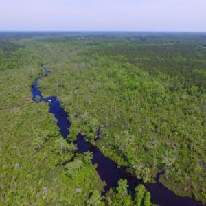 Photo of REDUCED!  443.3 Acres of Farm and Timber Land For Sale In Pamlico County NC!
