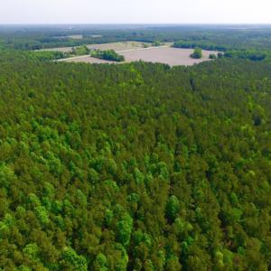 Photo of REDUCED!  443.3 Acres of Farm and Timber Land For Sale In Pamlico County NC!