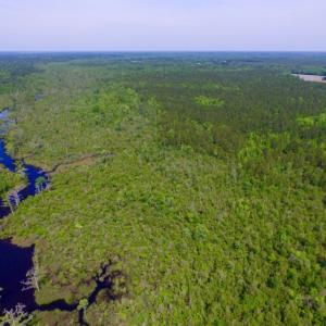 Photo of REDUCED!  443.3 Acres of Farm and Timber Land For Sale In Pamlico County NC!