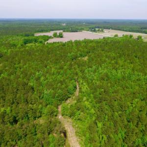 Photo of REDUCED!  443.3 Acres of Farm and Timber Land For Sale In Pamlico County NC!