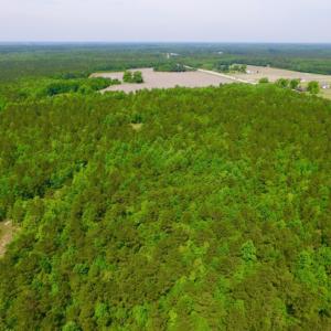 Photo of REDUCED!  443.3 Acres of Farm and Timber Land For Sale In Pamlico County NC!
