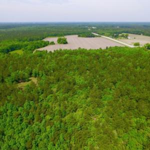 Photo of REDUCED!  443.3 Acres of Farm and Timber Land For Sale In Pamlico County NC!