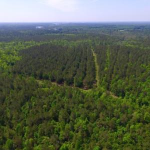 Photo of REDUCED!  443.3 Acres of Farm and Timber Land For Sale In Pamlico County NC!