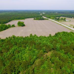 Photo of REDUCED!  443.3 Acres of Farm and Timber Land For Sale In Pamlico County NC!