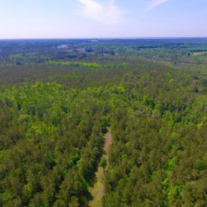 Photo of REDUCED!  443.3 Acres of Farm and Timber Land For Sale In Pamlico County NC!