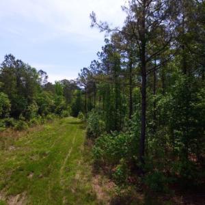 Photo of REDUCED!  443.3 Acres of Farm and Timber Land For Sale In Pamlico County NC!