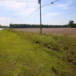 Photo of REDUCED!  443.3 Acres of Farm and Timber Land For Sale In Pamlico County NC!
