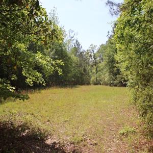 Photo of REDUCED!  443.3 Acres of Farm and Timber Land For Sale In Pamlico County NC!