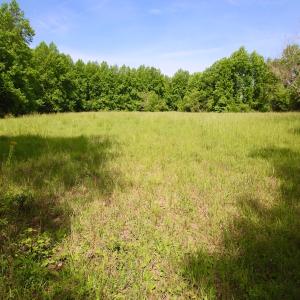 Photo of REDUCED!  443.3 Acres of Farm and Timber Land For Sale In Pamlico County NC!