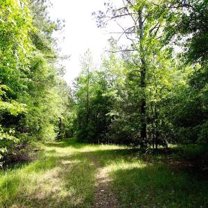 Photo of REDUCED!  443.3 Acres of Farm and Timber Land For Sale In Pamlico County NC!