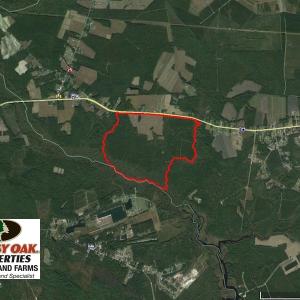 Photo of REDUCED!  443.3 Acres of Farm and Timber Land For Sale In Pamlico County NC!