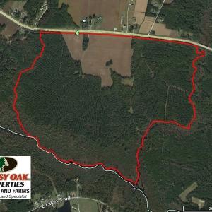 Photo of REDUCED!  443.3 Acres of Farm and Timber Land For Sale In Pamlico County NC!
