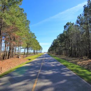 Photo of UNDER CONTRACT!  .56 acres of Waterview Lot For Sale in Bertie County NC!