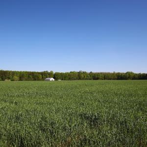 Photo of UNDER CONTRACT!  .56 acres of Waterview Lot For Sale in Bertie County NC!