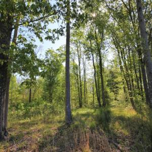 Photo of UNDER CONTRACT!  .56 acres of Waterview Lot For Sale in Bertie County NC!