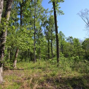 Photo of UNDER CONTRACT!  .56 acres of Waterview Lot For Sale in Bertie County NC!