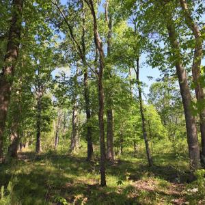 Photo of UNDER CONTRACT!  .56 acres of Waterview Lot For Sale in Bertie County NC!