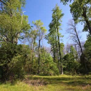 Photo of UNDER CONTRACT!  .56 acres of Waterview Lot For Sale in Bertie County NC!