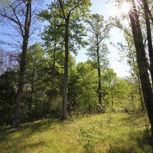 Photo of UNDER CONTRACT!  .56 acres of Waterview Lot For Sale in Bertie County NC!