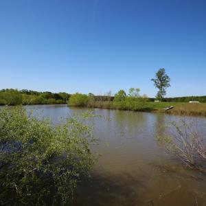 Photo of UNDER CONTRACT!  .56 acres of Waterview Lot For Sale in Bertie County NC!