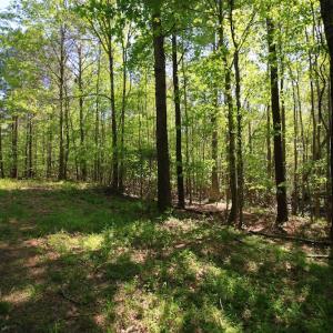 Photo of UNDER CONTRACT!  .56 acres of Waterview Lot For Sale in Bertie County NC!