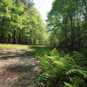 Photo of UNDER CONTRACT!  .56 acres of Waterview Lot For Sale in Bertie County NC!