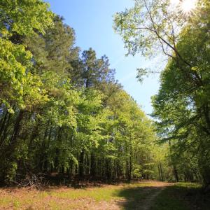 Photo of UNDER CONTRACT!  .56 acres of Waterview Lot For Sale in Bertie County NC!