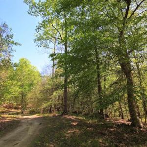 Photo of UNDER CONTRACT!  .56 acres of Waterview Lot For Sale in Bertie County NC!