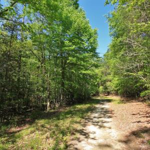 Photo of UNDER CONTRACT!  .56 acres of Waterview Lot For Sale in Bertie County NC!