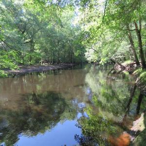 Photo of SOLD  93 Acres of Hunting Land For Sale in Bladen County NC!