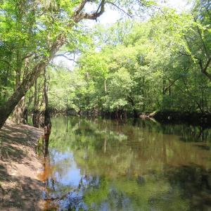 Photo of SOLD  93 Acres of Hunting Land For Sale in Bladen County NC!