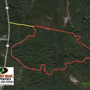 Photo of SOLD  93 Acres of Hunting Land For Sale in Bladen County NC!