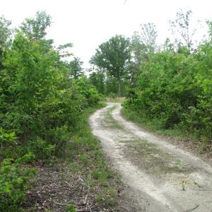Photo of UNDER CONTRACT!  665 Acres of Hunting and Investment Land For Sale in Fluvanna County VA!