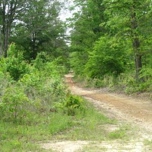 Photo of UNDER CONTRACT!  665 Acres of Hunting and Investment Land For Sale in Fluvanna County VA!
