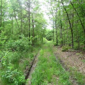 Photo of UNDER CONTRACT!  665 Acres of Hunting and Investment Land For Sale in Fluvanna County VA!