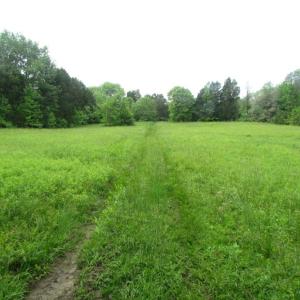 Photo of UNDER CONTRACT!  665 Acres of Hunting and Investment Land For Sale in Fluvanna County VA!