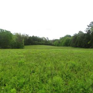 Photo of UNDER CONTRACT!  665 Acres of Hunting and Investment Land For Sale in Fluvanna County VA!