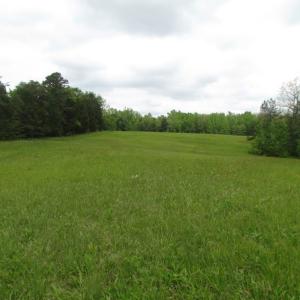 Photo of UNDER CONTRACT!  665 Acres of Hunting and Investment Land For Sale in Fluvanna County VA!