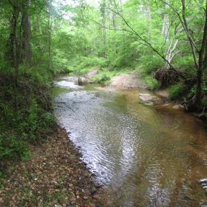 Photo of UNDER CONTRACT!  665 Acres of Hunting and Investment Land For Sale in Fluvanna County VA!
