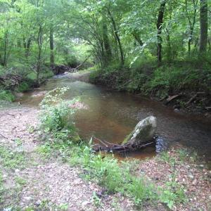 Photo of UNDER CONTRACT!  665 Acres of Hunting and Investment Land For Sale in Fluvanna County VA!