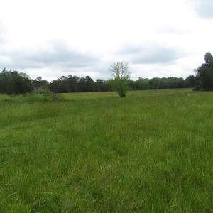 Photo of UNDER CONTRACT!  665 Acres of Hunting and Investment Land For Sale in Fluvanna County VA!