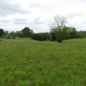 Photo of UNDER CONTRACT!  665 Acres of Hunting and Investment Land For Sale in Fluvanna County VA!